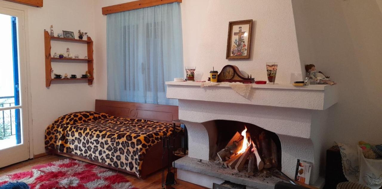 Apartment Aetofolia