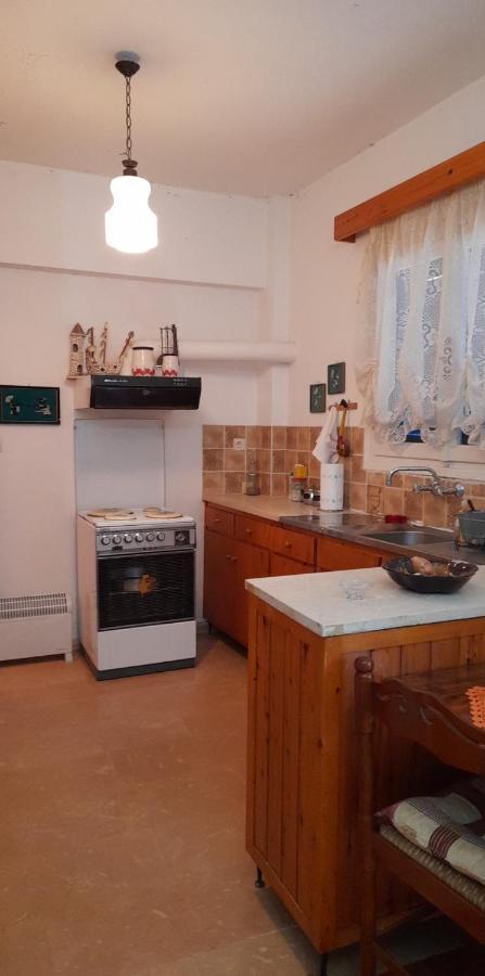 Apartment Aetofolia